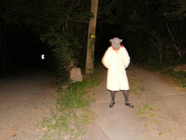 Bosonders liebe ich so Nacht treffen auf ein Waldst&uuml;ck + Schotterweg oder Parks das hat was ...