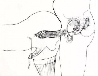 Bei Vertrauen mit ein langzeit Sex Beziehung lasse mich ohne schutz + Gummi Ficken und Schw&auml;ngern...